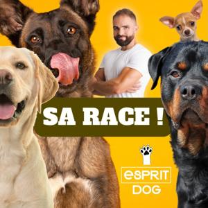 Sa Race ! by Esprit Dog