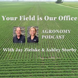 Your Field is Our Office by Pioneer Seeds