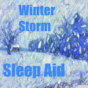 Winter Storm Sleep Aid by Quiet. Please