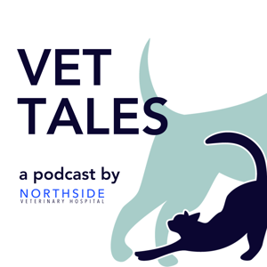 Vet Tales by Natalie Keith