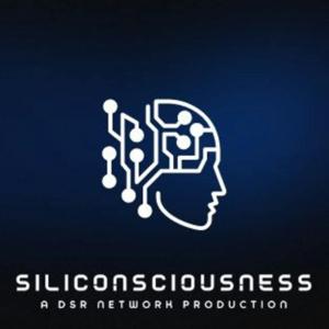 Siliconsciousness