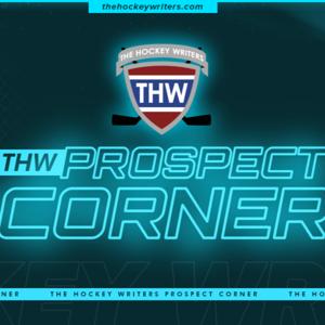 The Hockey Writers Prospect Corner