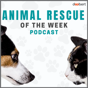 Animal Rescue of the week