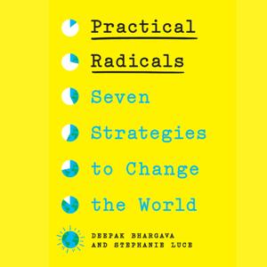 Practical Radicals by Deepak Bhargava and Stephanie Luce