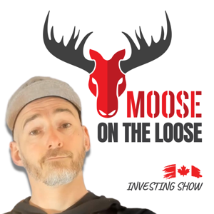 Moose on The Loose by Dividend Guy