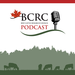 Canadian Beef Cattle Podcast by Beef Cattle Research Council