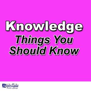 Knowledge: Things You Should Know