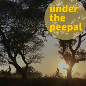 Under the peepal