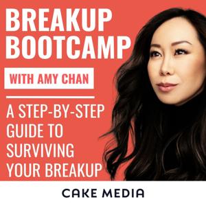 Breakup Bootcamp