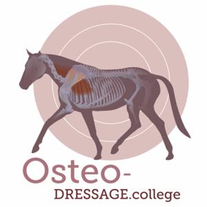 OsteoDressage - Reiten, wie es Pferde lieben by OsteoDressage