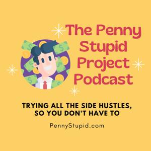 The Penny Stupid Project