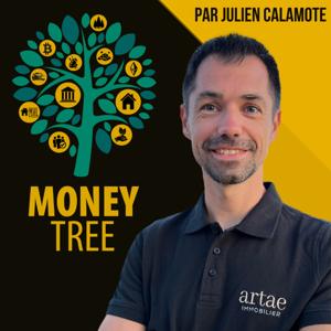 Money Tree - Podcast Immobilier & Investissement by Julien Calamote