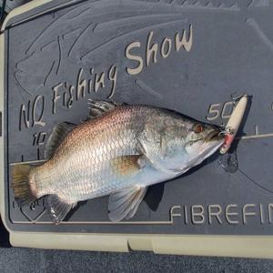 NQ Fishing Show Podcast