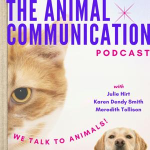 The Animal Communication Podcast by Mind Body Spirit.fm