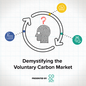 Demystifying the Voluntary Carbon Market With Cool Effect