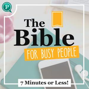 The Bible For Busy People by Purposely