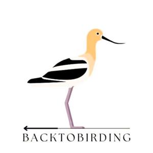 Back to Birding by Luke Thompson and Patrick Higgins