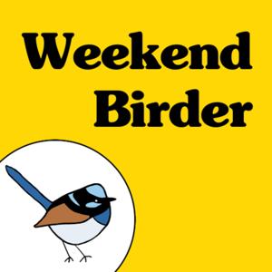 Weekend Birder by Kirsty Costa