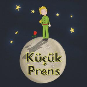 Küçük Prens Kitap Seslendirmesi