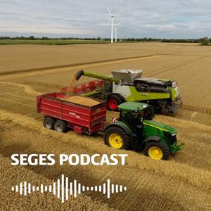 Plante-podcast fra SEGES Innovation by SEGES PODCAST