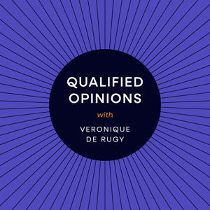 Qualified Opinions