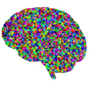 Neurology for Vets and Pets