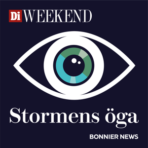 Stormens öga by Dagens industri