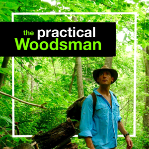 The Practical Woodsman