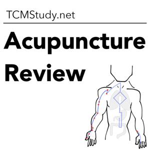 TCMStudy - Acupuncture Review by Nicholas Duchnowski