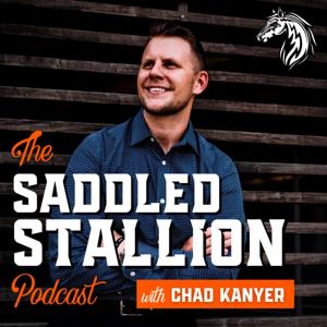 The Saddled Stallion