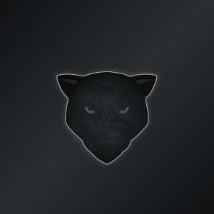 Cowtown Cats/Follow The Panthers
