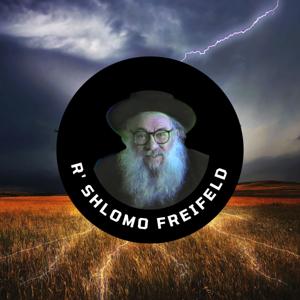 Rabbi Shlomo Freifeld by Shor Yoshuv