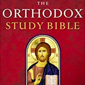 Daily Orthodox Bible Study: The New Testament by Orthodox Christian Teaching