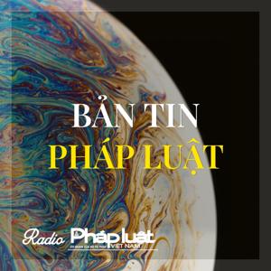 Bản tin Pháp luật