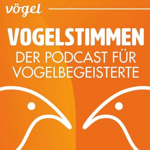 Vogelstimmen