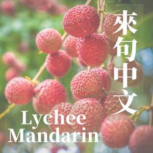 Learn Taiwanese Mandarin with News 《來句中文 Lychee Mandarin》 by 台味語言 TheTaiwaneseWay