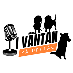 I väntan på upptag by ivpupodcast