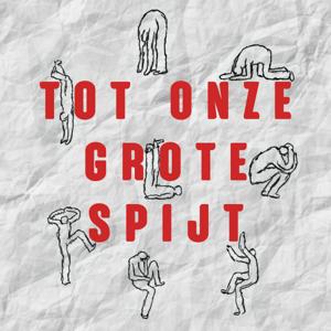 Tot Onze Grote Spijt by Johan Terryn