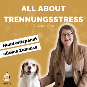 All About Trennungsstress | Hund entspannt alleine Zuhause 🐶 🏠