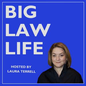 Big Law Life by Laura Terrell