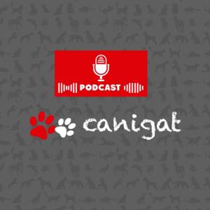 Consejos veterinarios de perros y gatos by canigat