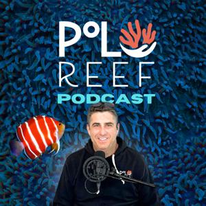 Polo Reef the Podcast by Polo Reef