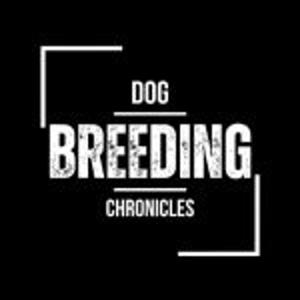 The Dog Breeding Chronicles