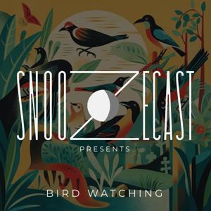 Snoozecast Presents: Birdwatching