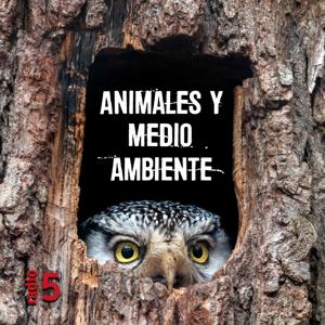 Animales y medio ambiente