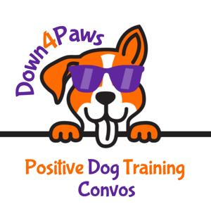 Down 4 Paws: Positive Dog Training Convos by Pamela Brown