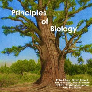 Principles of Biology