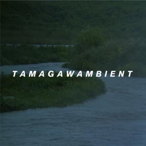 TAMAGAWAMBIENT（多摩川アンビエント）