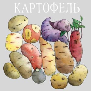 Картофель