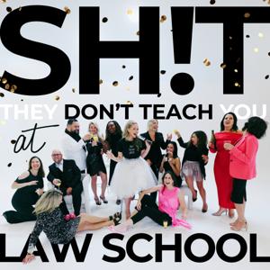 Sh!t They Don't Teach You at Law School by Sarah-Elke Kraal